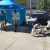 The City Is Giving Out Free Water Bowls For Your Dogs